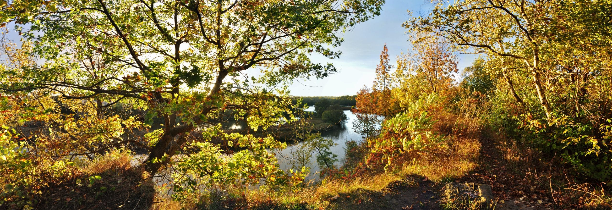 View of the Humber River from the Humber Marshes, located in the western portion of Swansea. Image, Mykola Swarnyk