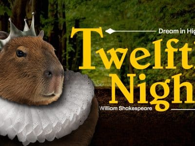 Dream in High Park Twelfth Night 2026 season.